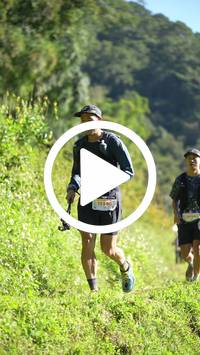 BIB:  <button type="button" onclick="openModal(26578767)" class="btn btn-primary btn-sm float-right" data-toggle="modal" data-target=".modal-high-quality">
                <i class="fa fa-download"></i> Download
                </button>